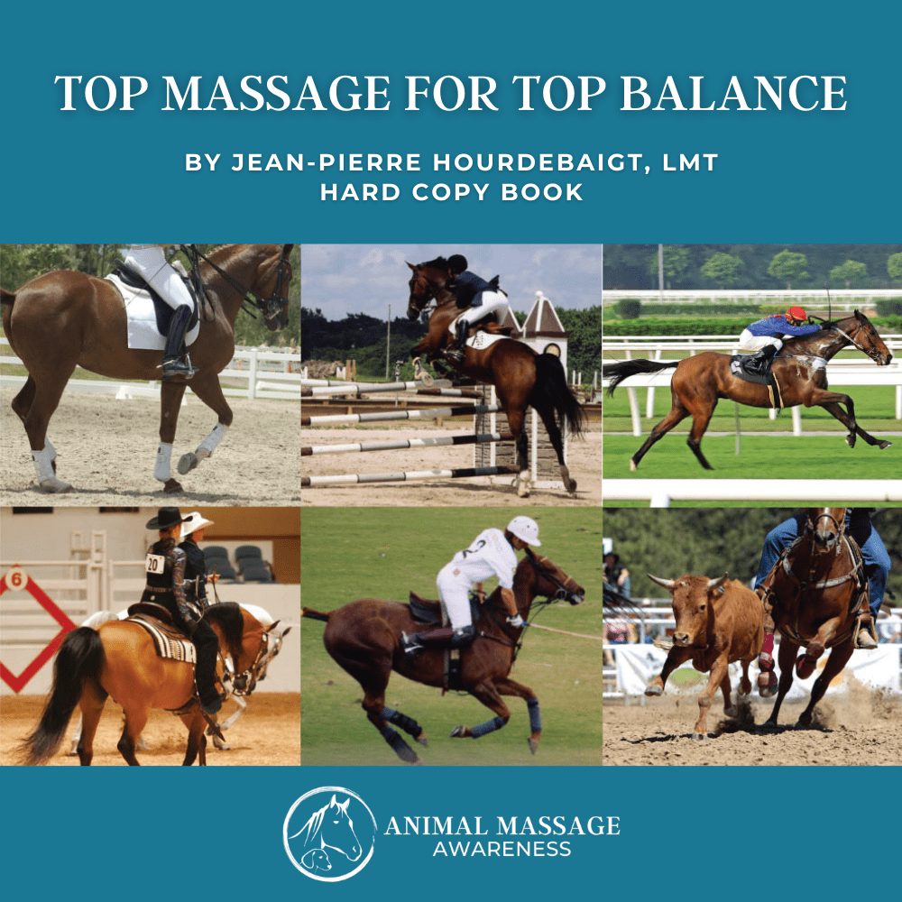 AMA-Hard-Copy-Book-Cover-Top-Massage-for-Top-Balance-eng-1